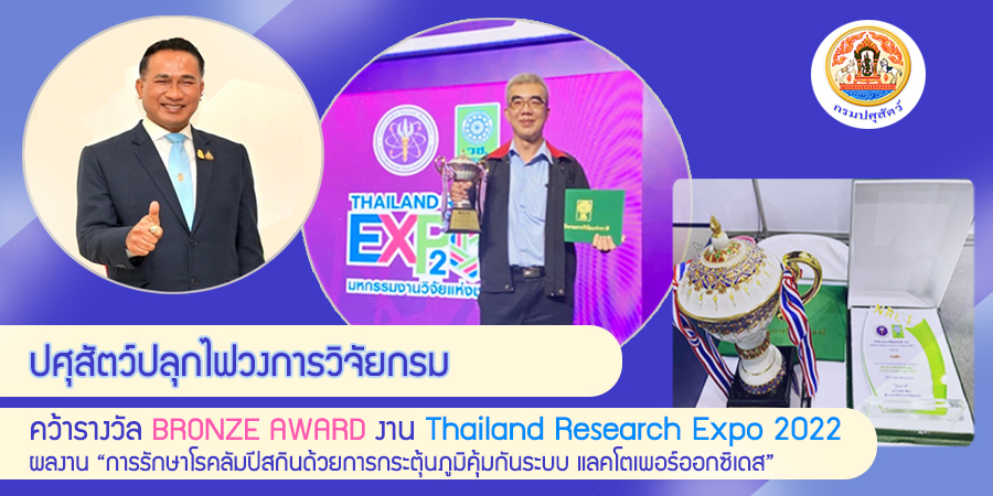 "ปศุสัตว์ปลุกไฟวงการวิจัยกรม คว้ารางวัล BRONZE AWARD งาน Thailand Research Expo 2022 ด้วยผลงานการรักษาโรคลัมปี สกิน ด้วยการกระตุ้นภูมิคุ้มกันระบบแลคโตเพอร์ออกซิเดส"