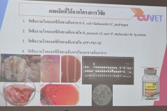1711256424.jpg