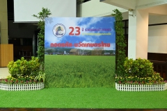 0049_resize.jpg