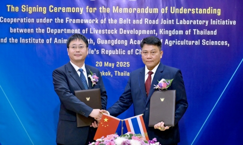 รอธ.บุญญกฤชฯ เจ้าภาพจัดพิธีลงนามบันทึกข้อตกลงความร่วมมือ (MOU) ระหว่างกรมปศุสัตว์ กระทรวงเกษตรและสหกรณ์ ราชอาณาจักรไทย กับ สถาบันสุขภาพสัตว์ สถาบันวิจัยวิทยาศาสตร์ด้านการเกษตรแห่งมณฑลกวางตุ้ง สาธารณรัฐประชาชนจีน