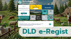 dlderegist