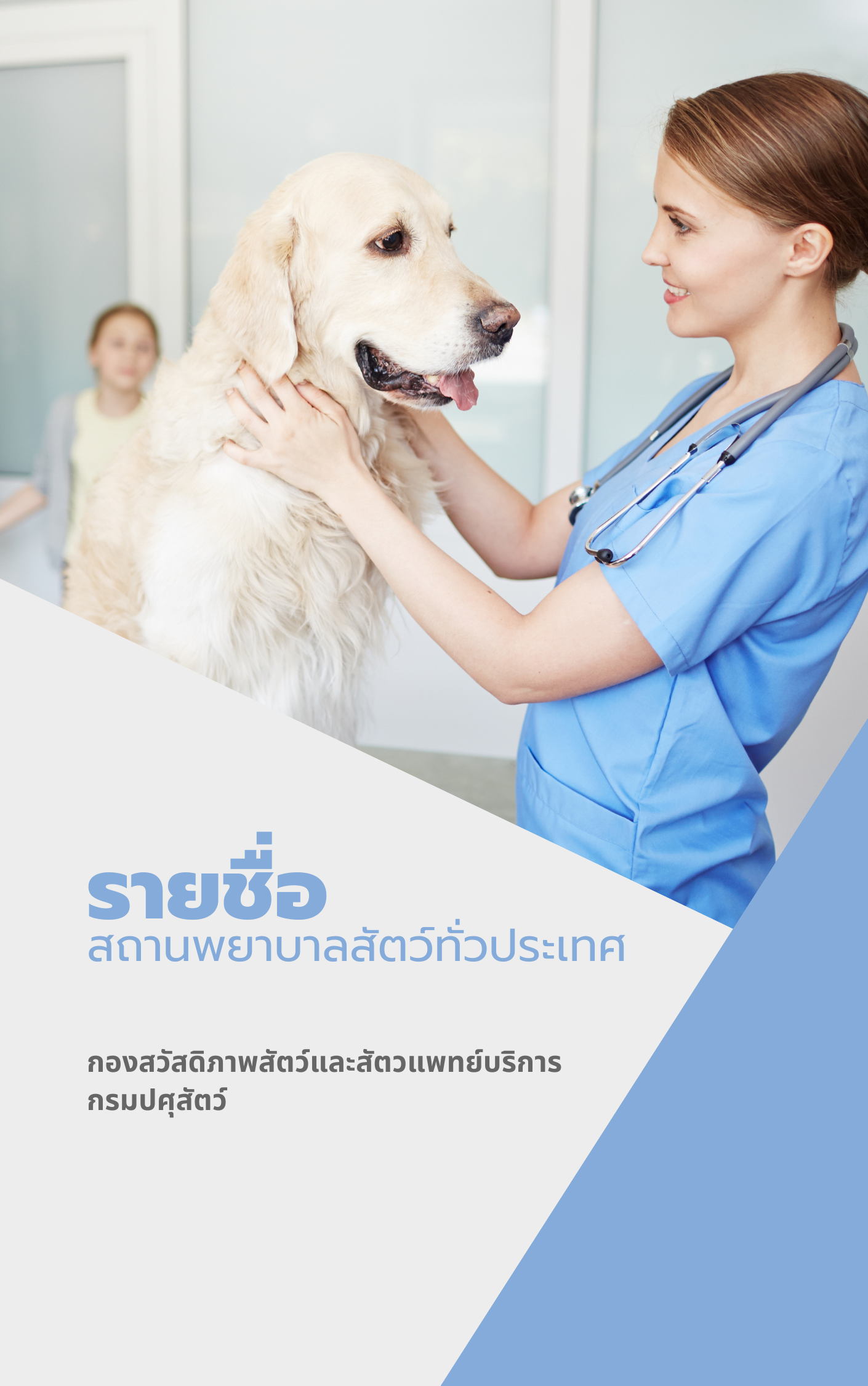 Brown Geometric Abstract Corporate Project A4 Book Cover