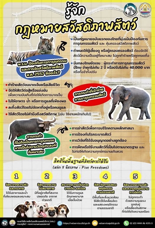 รู้จักกฎหมายสวัสดิภาพสัตว์ พ.ร.บ.ป้องกันการทารุณกรรมและการจัดสวัสดิภาพสัตว์ พ.ศ.2557