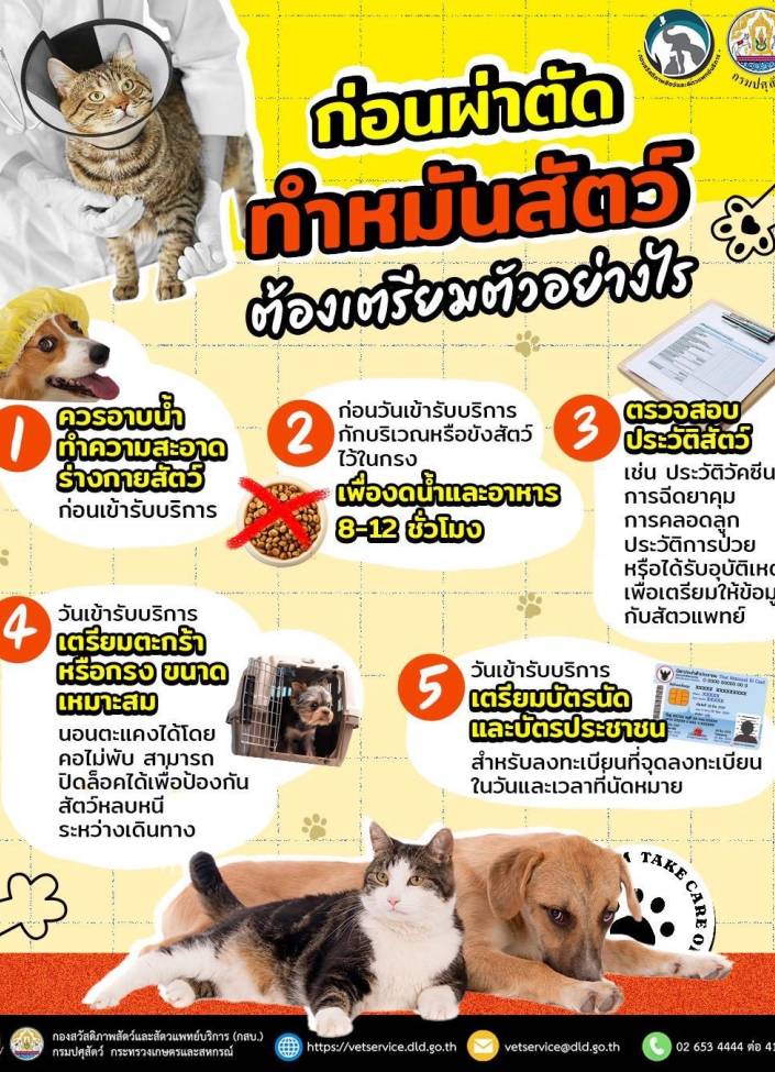 ก่อนผ่าตัดทำหมันสัตว์ ต้องเตรียมตัวอย่างไร ??