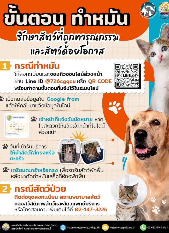 ขั้นตอนทำหมัน รักษาสัตว์ที่ถูกทารุณกรรม และสัตว์ด้อยโอกาส