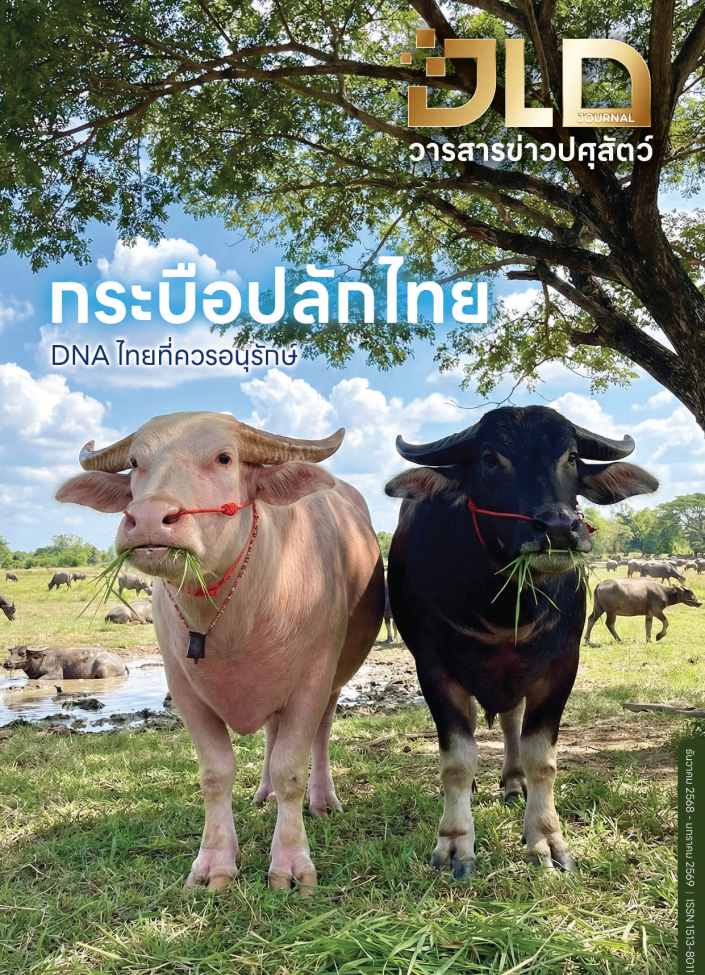 วารสารปศุสัตว์ ฉบับ ธันวาคม 2568 - มกราคม 2569