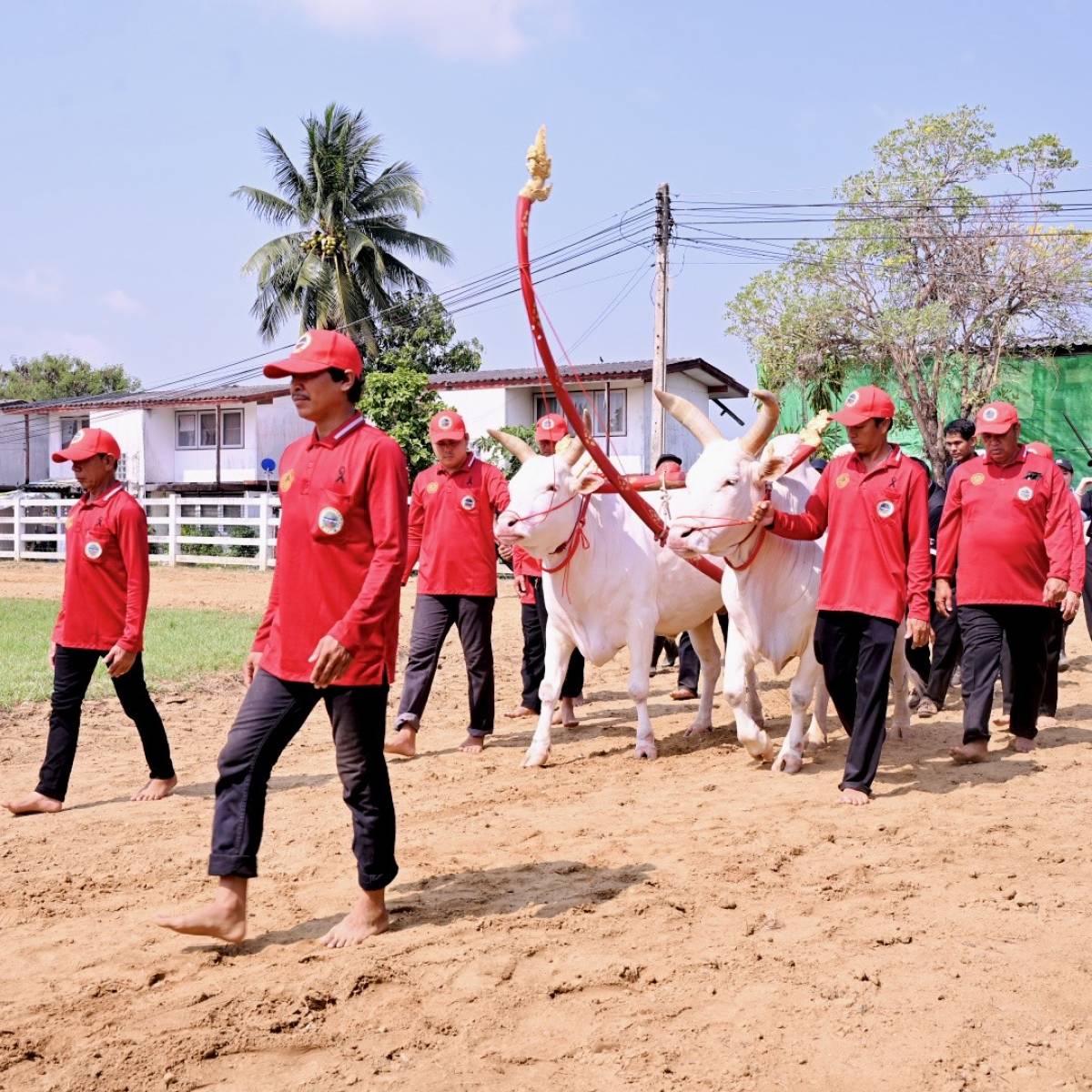 กรมปศุสัตว์ เข้าร่วมการตรวจเยี่ยมการจัดเตรียมพระโค ในงานพระราชพิธีพืชมงคลจรดพระนังคัลแรกนาขวัญ ประจำปี 2569
