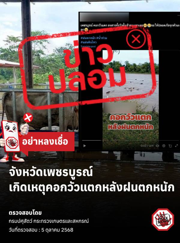  เช็กก่อนแชร์ต่อ . จังหวัดเพชรบูรณ์เกิดเหตุคอกวัวแตกหลังฝนตกหนัก